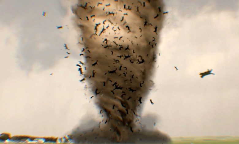 Catnado Trailer Sees a Storm of Felines in Twisters Parody Movie