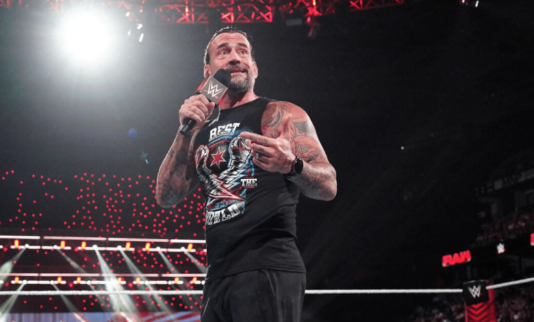 WWE Star Calls Out CM Punk: What Was Said?