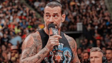 CM Punk Teases Possible Tag Team With Major WWE Superstar