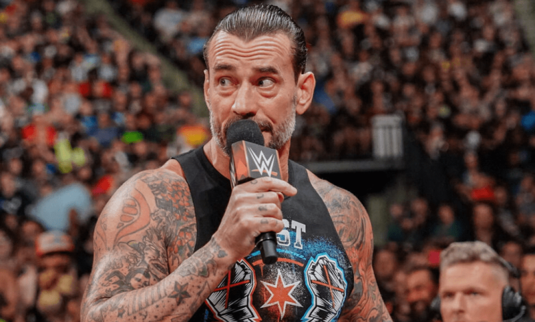 CM Punk Teases Possible Tag Team With Major WWE Superstar