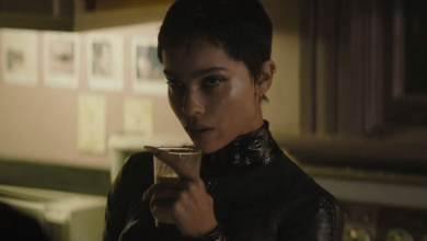 Caught Stealing Cast: Zoë Kravitz in Talks for Darren Aronofsky’s Crime Thriller Movie