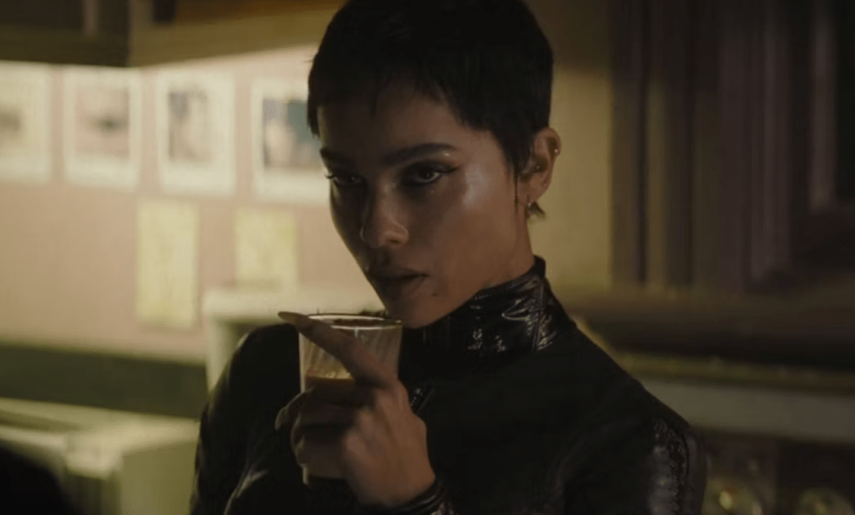 Caught Stealing Cast: Zoë Kravitz in Talks for Darren Aronofsky’s Crime Thriller Movie