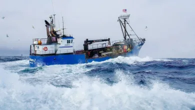 Deadliest Catch Season 20 Episode 6 Release Date, Time & Watch Online Free