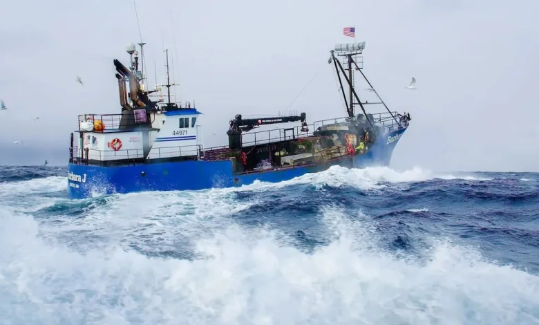 Deadliest Catch Season 20 Episode 6 Release Date, Time & Watch Online Free