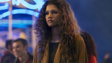 Euphoria Season 3 Update Reveals Cast & Shooting Date