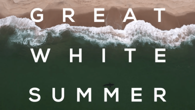 Exclusive Great White Summer Trailer for Shark Attack Documentary