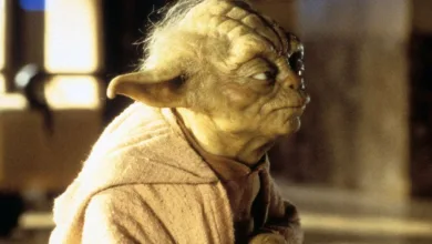 How Old Is Yoda In The Acolyte?