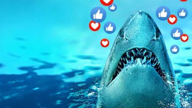 How to Watch Sharks Gone Viral Online Free