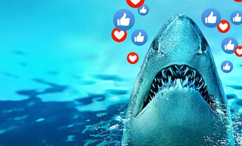 How to Watch Sharks Gone Viral Online Free