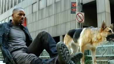 I Am Legend 2 Director: Steven Caple Jr. in Talks to Helm Sequel