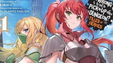 Is It Wrong to Try to Pick Up Girls in a Dungeon? Astrea Record Novel One Review - Review