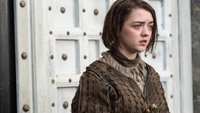 Is Maisie Williams Married in 2024? Relationship History Explained