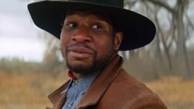 Jonathan Majors Net Worth 2024: How Much Money Does He Make?