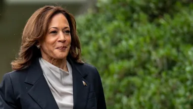 Kamala Harris: Did Netflix Donate to Her Campaign? Cancel Controversy Explained