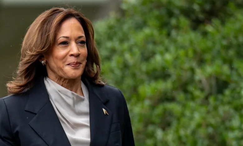 Kamala Harris: Did Netflix Donate to Her Campaign? Cancel Controversy Explained