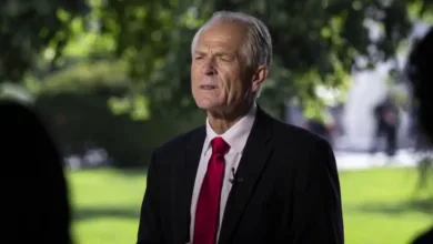 Peter Navarro Net Worth 2024: How Much Money Does He Make?