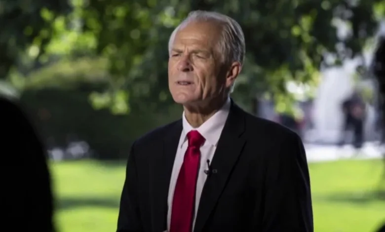 Peter Navarro Net Worth 2024: How Much Money Does He Make?