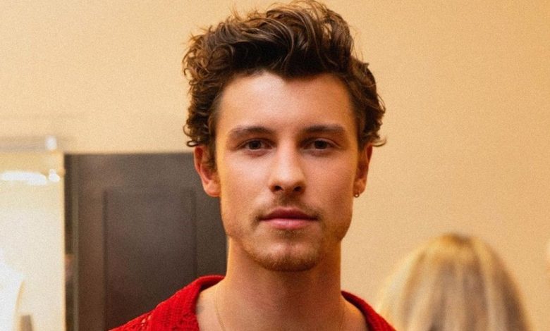 Shawn Mendes Net Worth 2024: How Much Money Does He Make?