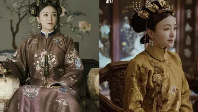 Story of Yanxi Palace Actor Qin Lan’s Chinese Dramas List