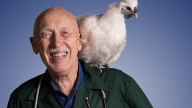 The Incredible Dr. Pol: Why Was The Series Canceled? Will It Be Renewed?