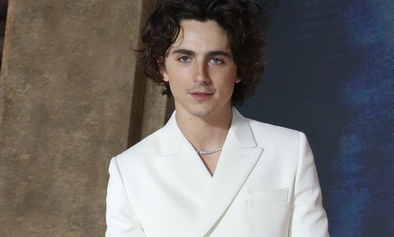 Timothée Chalmet to Star in A24 Josh Safdie Ping Pong Movie Marty Supreme, Poster Released