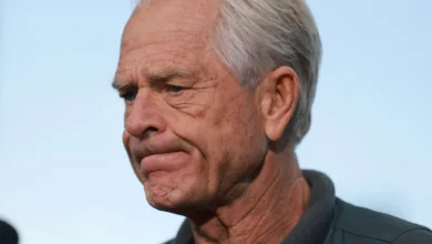 What Happened to Peter Navarro? Prison Sentence Explained