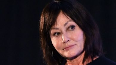 What Happened to Shannen Doherty? Beverly Hills 90210 Actress Passes Away