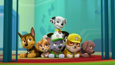 How to Watch PAW Patrol Online Free