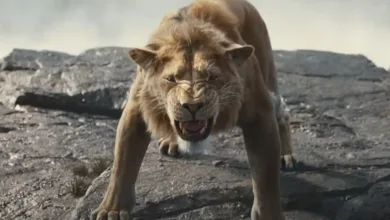 Mufasa: The Lion King Trailer Shows More of Disney Prequel