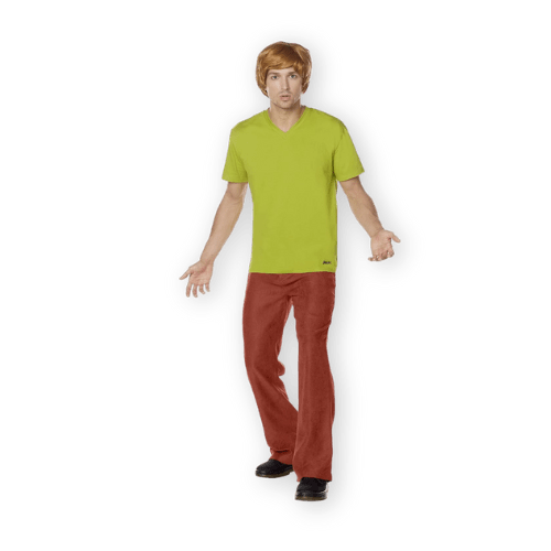 Best Shaggy Halloween Costume