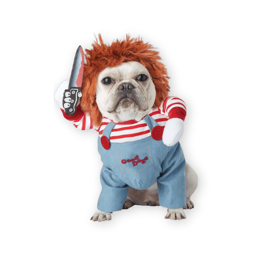 Best Chucky Halloween Costume for Pets