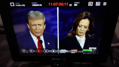 Is Trump or Harris Ahead in the Polls Today, September 13?