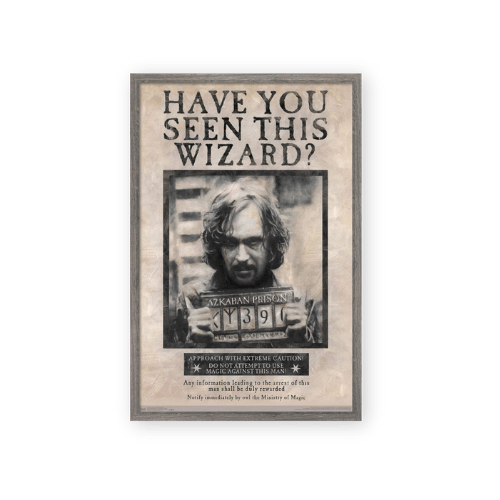 Harry Potter Movie Poster