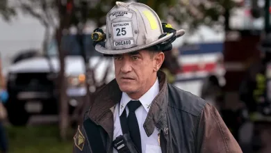 Chicago Fire’s New Chief: Why Dermot Mulroney’s Dom Pascal Replaces Boden?