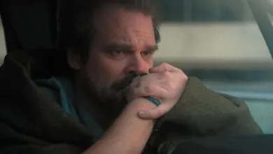 David Harbour Teases Stranger Things’ Final Episode: ‘Never Seen So Much Heavy, Heavy Weeping’