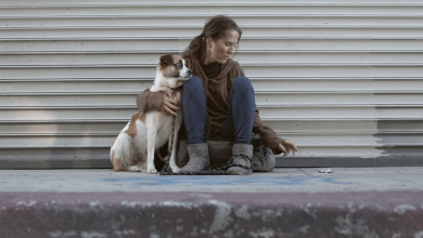 Exclusive My Home Unknown Trailer: Yaz Canli & Diane Foster Star in Homeless Drama