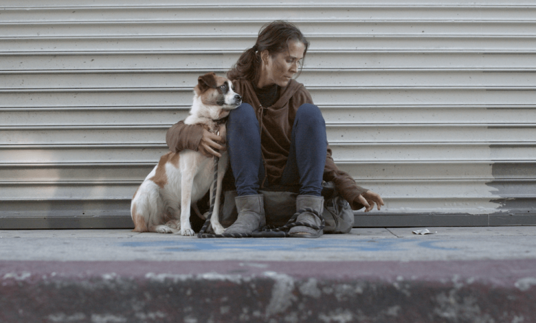 Exclusive My Home Unknown Trailer: Yaz Canli & Diane Foster Star in Homeless Drama