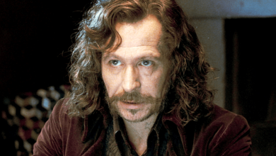 Gary Oldman Open to Joining Harry Potter Series But Not as Sirius Black