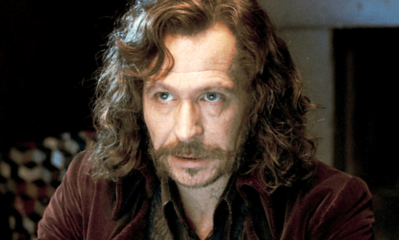 Gary Oldman Open to Joining Harry Potter Series But Not as Sirius Black