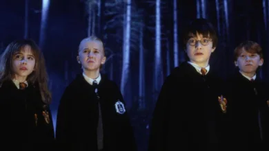 HBO Harry Potter Series Update Reveals Release Date Window