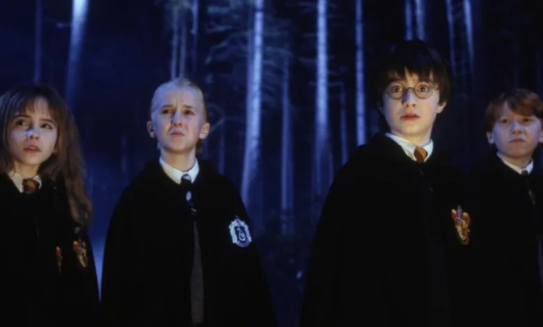 HBO Harry Potter Series Update Reveals Release Date Window