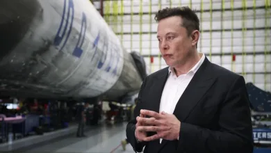 How Did Elon Musk React to Taylor Swift’s Endorsement of Kamala Harris?