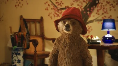 Paddington 4, New TV Series in the Works