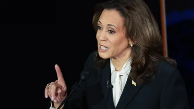 What Did Kamala Harris Say About Donald Trump & Putin? Comments Explained