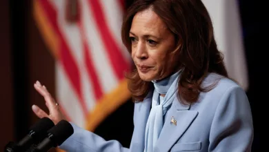 What Happened to Kamala Harris? Arizona Campaign Office Shooting Explained