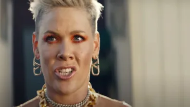 Why Did Pink Delete Her Tweets on X (Twitter)? Explained