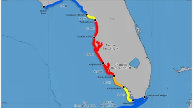 Yes, Hurricane Milton Is Expected To Be Worse Than Helene