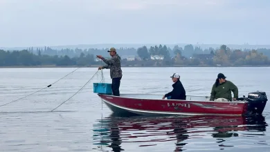 Exclusive The Salmon’s Call Trailer Explores Indigenous Relationship With Wild Salmon