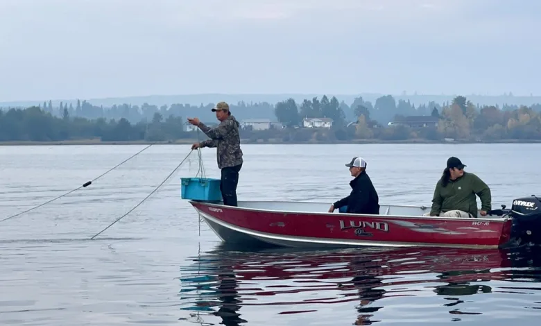 Exclusive The Salmon’s Call Trailer Explores Indigenous Relationship With Wild Salmon